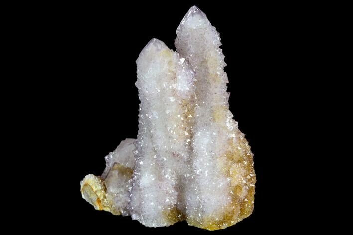 Cactus Quartz (Amethyst) Crystals - South Africa #122355